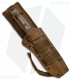 Buck Knives Buck GCK Fixed Blade Knife Tanto Tan (5.5" Tan) 0893BRS1 6 Buck Knives Buck GCK Fixed Blade Knife Tanto Tan (5.5" Tan) 0893BRS1 -Knife Shop Buck GCK Fixed Blade Knife Tant0 Tan 5in 5cm Tan BHQ 106711 td sheath