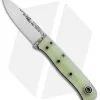 Fiddleback Forge Hiking Buddy Fixed Blade Knife Spearmint G-10 (3.125" Satin)