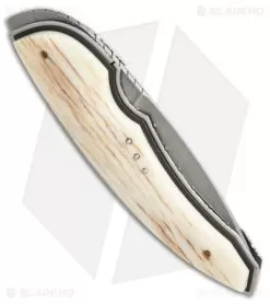 Corrie Schoeman Panerai Flipper Knife Giraffe Bone (3.25" Hamon) -Knife Shop custom 22 er side