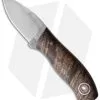 Fiddleback Forge Runt Knife Black Ash Burl (2" Satin)