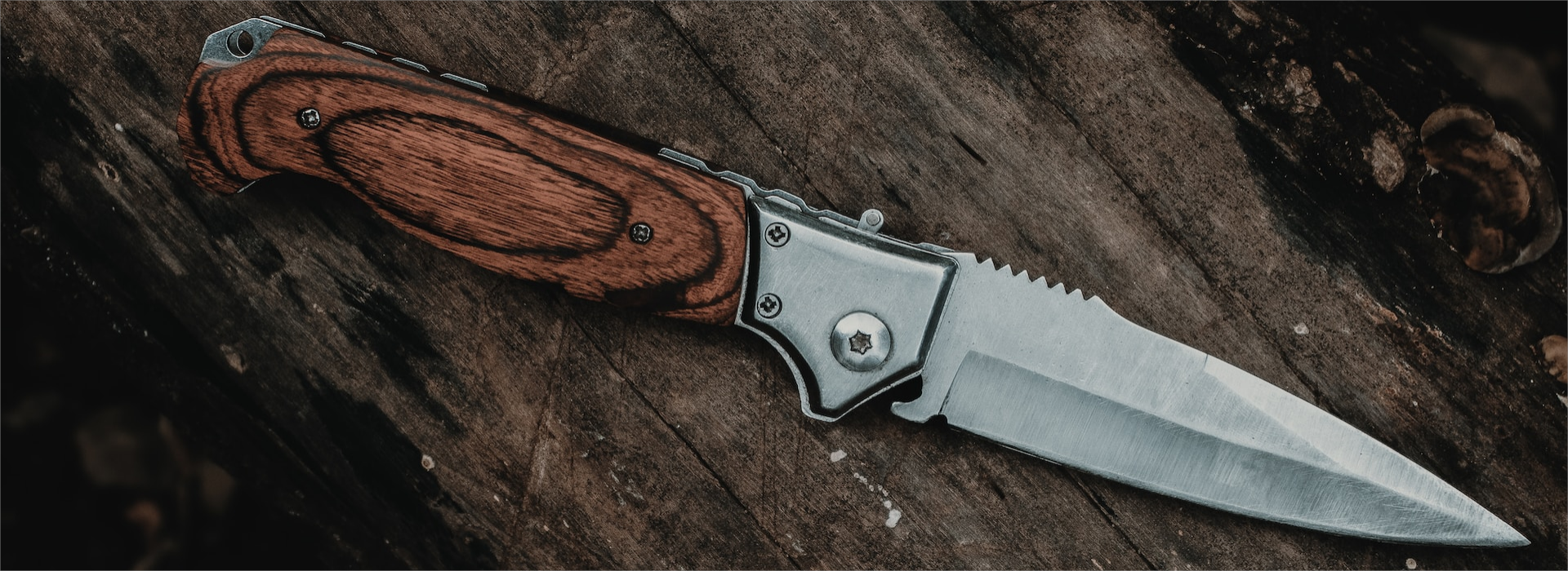 Knife Shop -Knife Shop igor bispo sV5JRC3t71M unsplash 11
